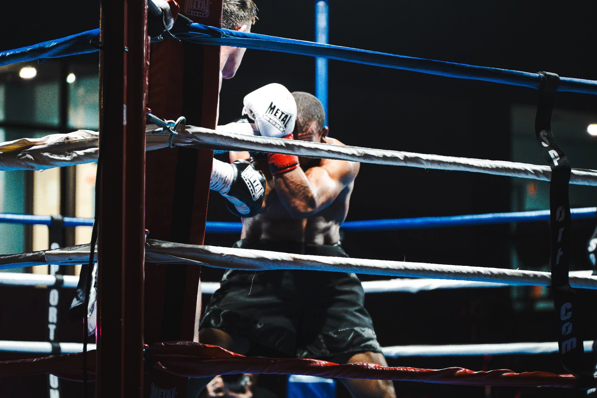 Spuc Boxe - 2026